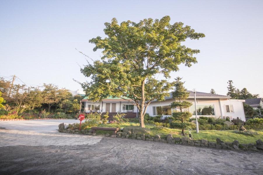 Sunyang Village Pension Jeju Buitenkant foto